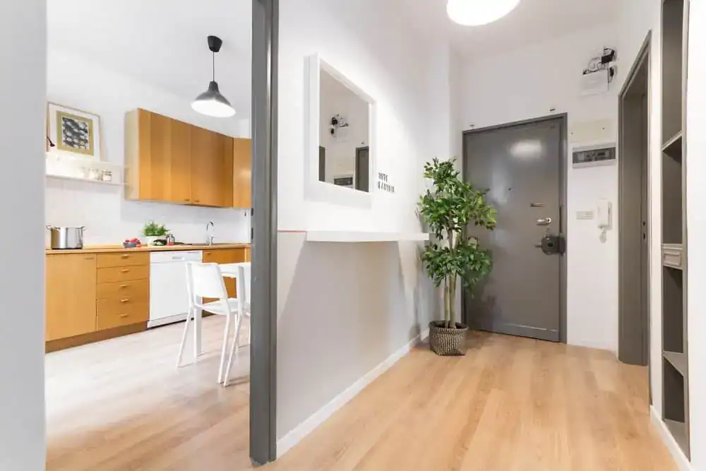 cucina moderna con armadi in legno e pianta decorativa