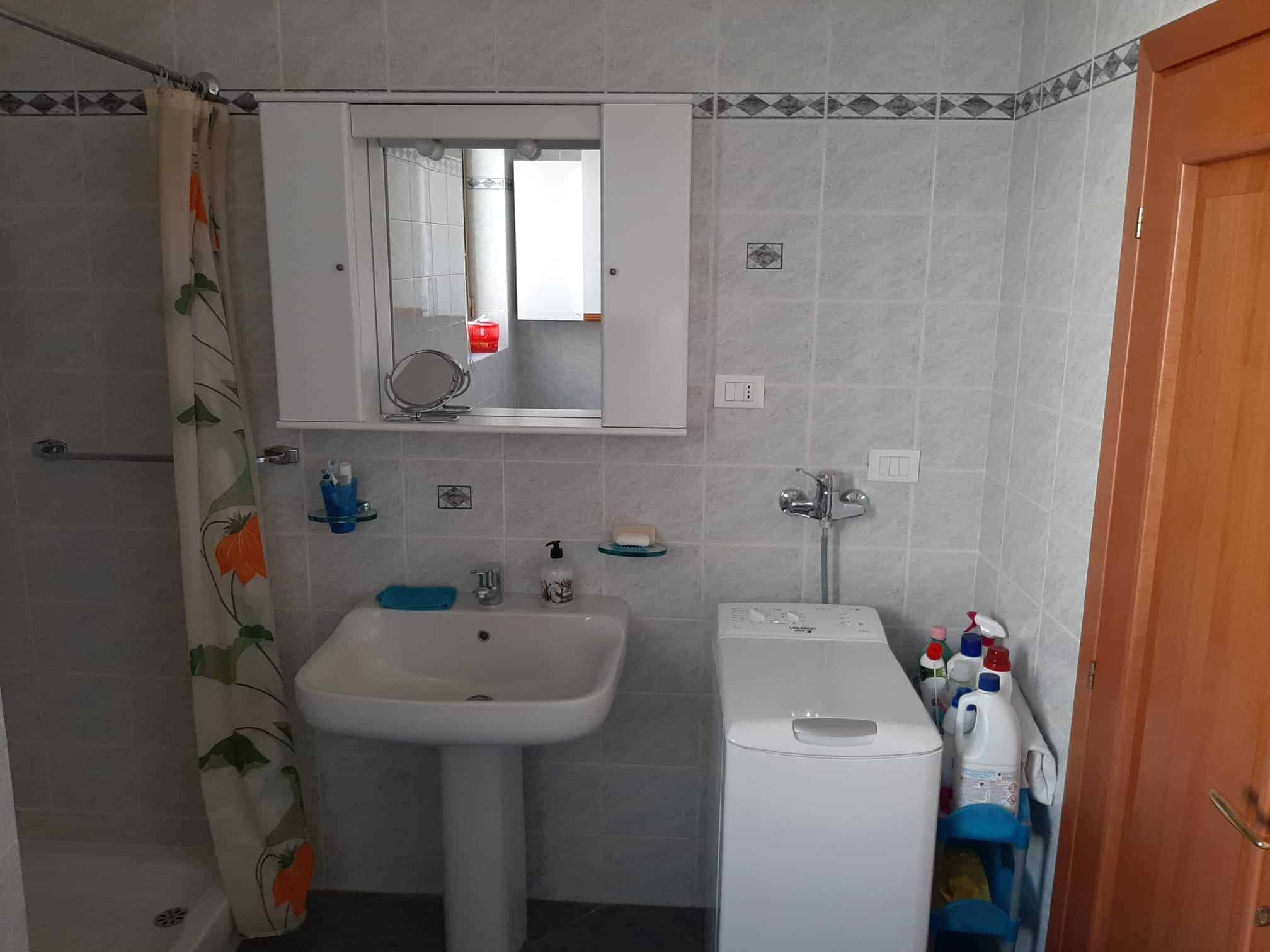 bagno con lavabo e lavatrice vicino a specchio