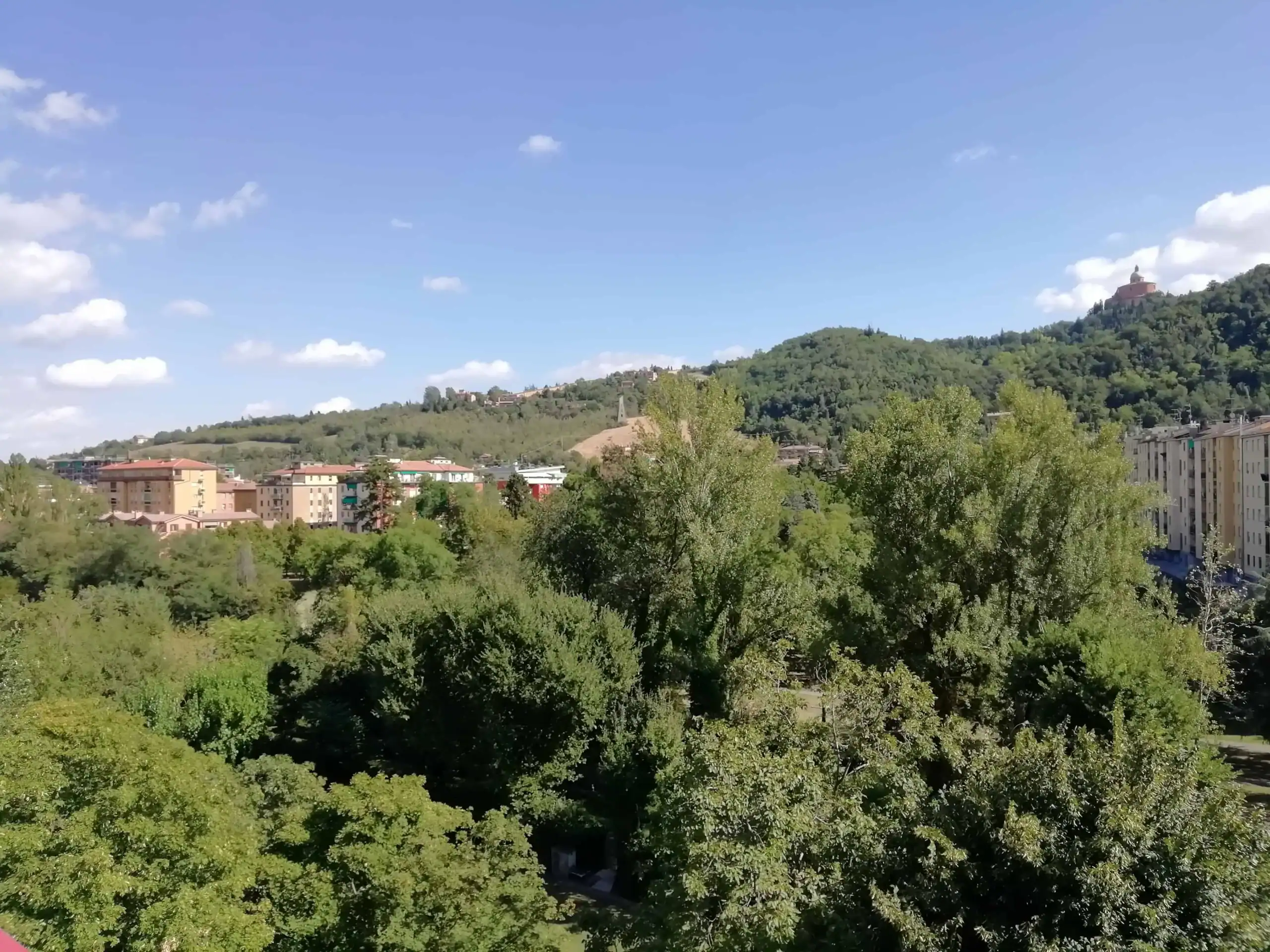 panorama di colline verdi con alberi e case
